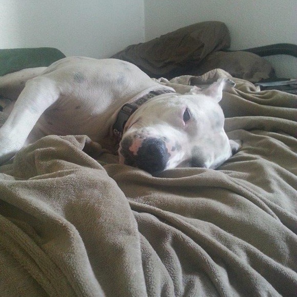 Meet your Posher, Mo - Picture 3 of 8